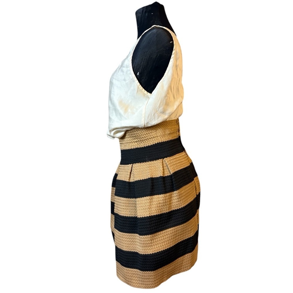 Neslay Designer Stylish Black and Tan Striped Skirt - Picture 6 of 16